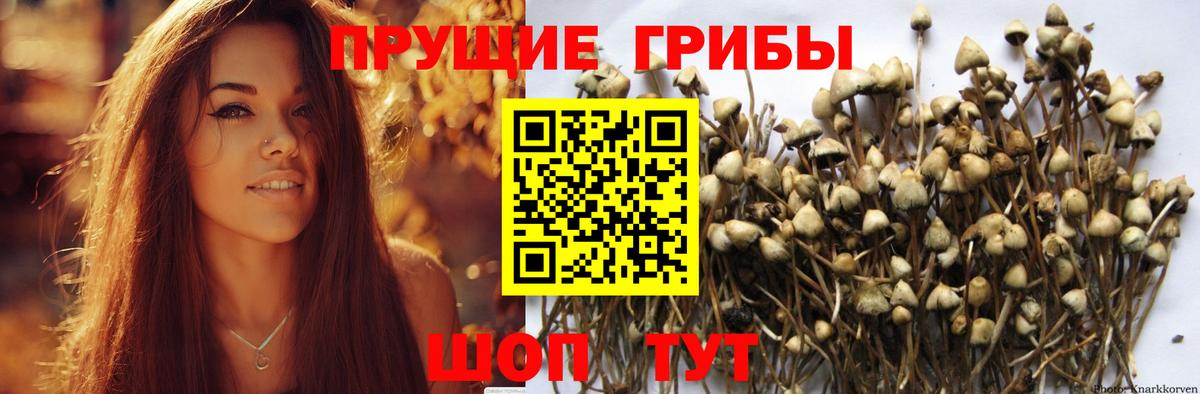 Галлюциногенные грибы ЛСД Гай